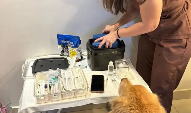 Veterinária da Unnavet preparando o atendimento de um cão